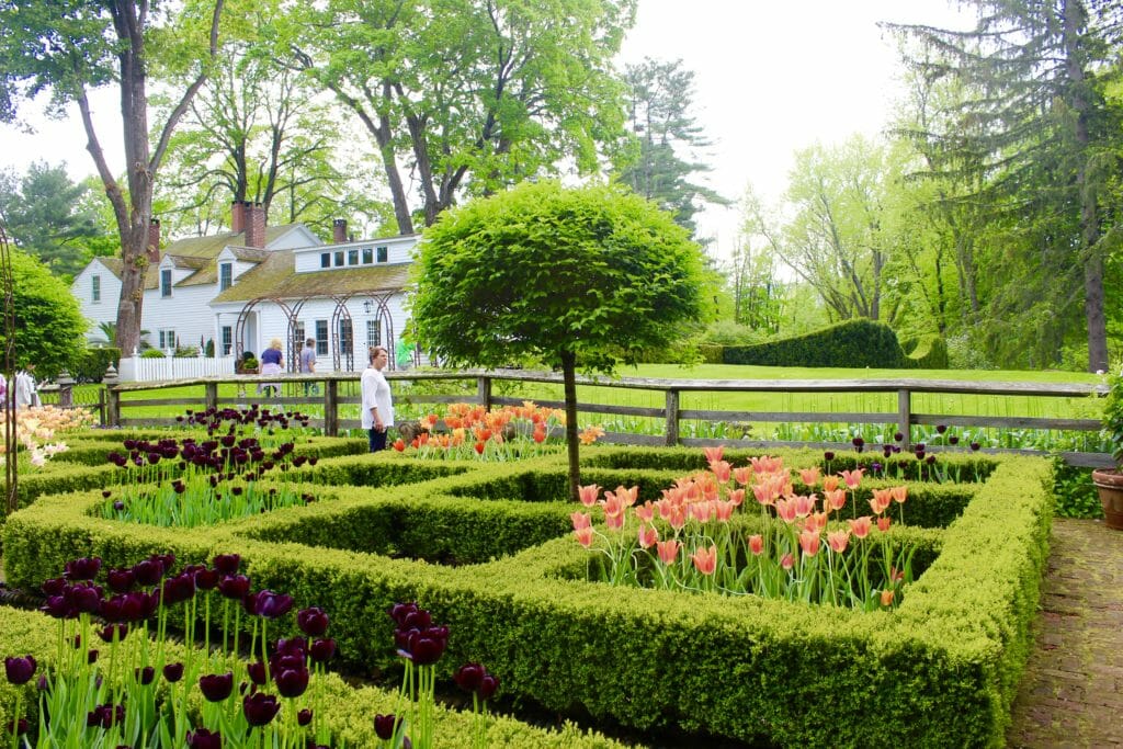The Parterre Garden 